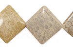 Fossil Coral Diamond 26-27mm