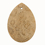 Fossil Coral Flat Teardrop Pendant 32x45mm