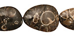 Turritella Agate Freeform Flat Slab 18-35x12-20mm