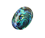 Abalone Oval Cabochon 20-22x30mm