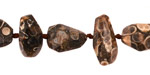 Turritella Agate Side Faceted Nugget 6-20x8-18mm