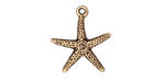 TierraCast Antique Gold (plated) Starfish Charm 17x20mm
