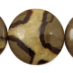 Septaria Puff Coin 40mm