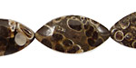 Turritella Agate Horse Eye 23-32x11-16mm