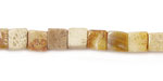 Fossil Coral Cube 6mm
