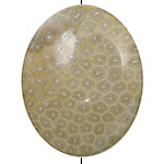 Petoskey Stone Flat Oval Pendant 50x40mm