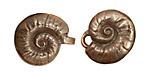Green Girl Shibuichi Seashell Clasp