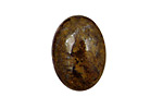 Bronzite Oval Cabochon 18x25mm