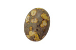 Yellow Leopardskin Jasper Oval Cabochon 18x25mm