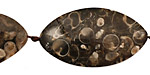 Turritella Agate Horse Eye 30-50x14-24mm