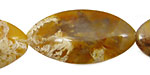 Idaho Plume Agate Horse Eye 40x20mm