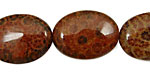 Fossil Coral (red) Flat Oval 25x18mm