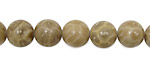Petoskey Stone Round 10mm