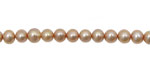 Champagne Semi-Round 4.5-5mm