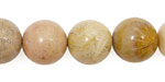 Fossil Coral Round 14mm