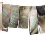 Black Shell Rectangle Drops 9-11x27-35mm