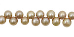 Champagne Dancing Button 6-6.5mm