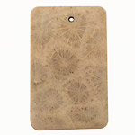 Fossil Coral Rectangle Pendant 30x44mm