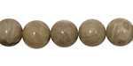 Petoskey Stone Round 12mm