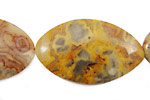 Crazy Lace Agate Horse Eye 40x24mm