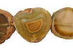 Yellow Agate Slice Freeform Pieces 23-33x19-30mm
