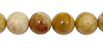 Fossil Coral Round 12mm