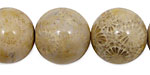 Fossil Coral Round 20mm