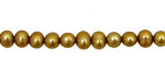 Gold Potato 5-5.5mm