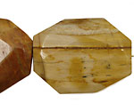 Madagascar Petrified Wood Faceted Flat Slab 35-45x25-35mm
