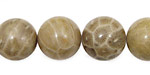 Petoskey Stone Round 16mm