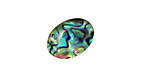 Abalone Oval Cabochon 13x18mm