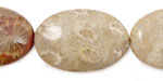 Fossil Coral Flat Oval 30x20mm