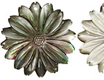 Black Shell Carved Flower Pendant w/Pointy Petals 40mm