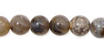 Rainbow Crazy Lace Agate Round 10mm