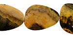 Mexican Sunflower Agate Freeform Flat Slab 22-34x15-21mm