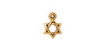 TierraCast Antique Gold (plated) Star of David Charm 8x12mm