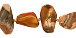 Madagascar Petrified Wood Side Faceted Nugget 9-22x9-26mm
