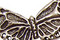 Green Girl Pewter Butterfly Centerpiece 38x20mm