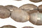 Labradorite Faceted Rice 10x6mm