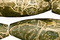 African Green Jasper Rice 30x10mm
