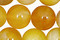 Yellow Botswana Agate Round 10mm