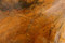 Madagascar Petrified Wood Puff Square 40mm