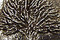 Green Girl Pewter Tree Pendant 30mm
