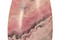 Rhodochrosite (soft pink) Long Drop Pendant 30x60mm