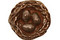 Green Girl Shibuichi Home Nest 15mm
