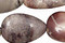 Porcelian Jasper Flat Teardrop 15x10mm