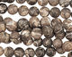 Turritella Agate (matte) Round 7-8mm