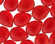 Czech Glass Siam Ruby Teardrop 12x16mm