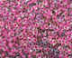 TOHO Crystal (with Opaque Fuschia Lining) Magatama 3mm Seed Bead