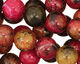 Red Turtle Jasper Round 12mm